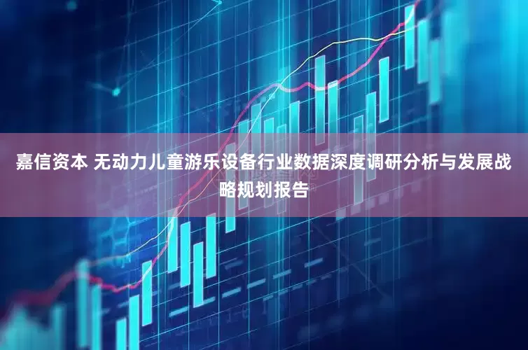 嘉信资本 无动力儿童游乐设备行业数据深度调研分析与发展战略规划报告