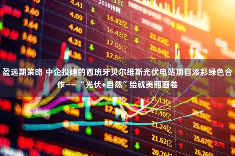 盈远期策略 中企投建的西班牙贝尔维斯光伏电站项目添彩绿色合作—— “光伏+自然”绘就美丽画卷