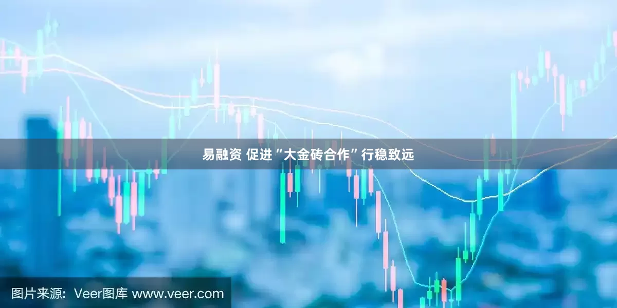 易融资 促进“大金砖合作”行稳致远