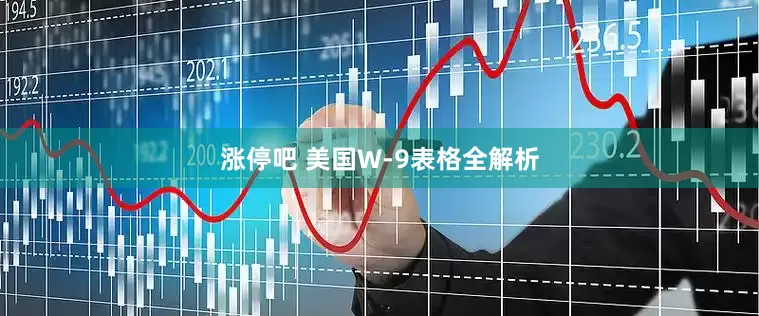 涨停吧 美国W-9表格全解析
