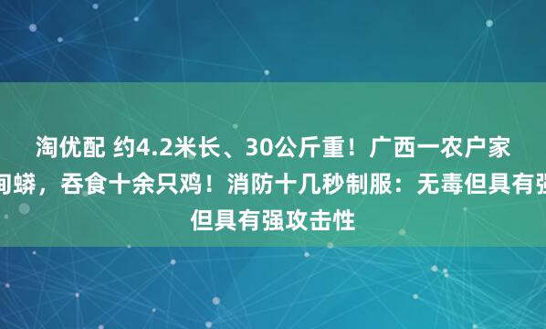 淘优配 约4.2米长、30公斤重！广西一农户家惊现缅甸蟒，吞食十余只鸡！消防十几秒制服：无毒但具有强攻击性